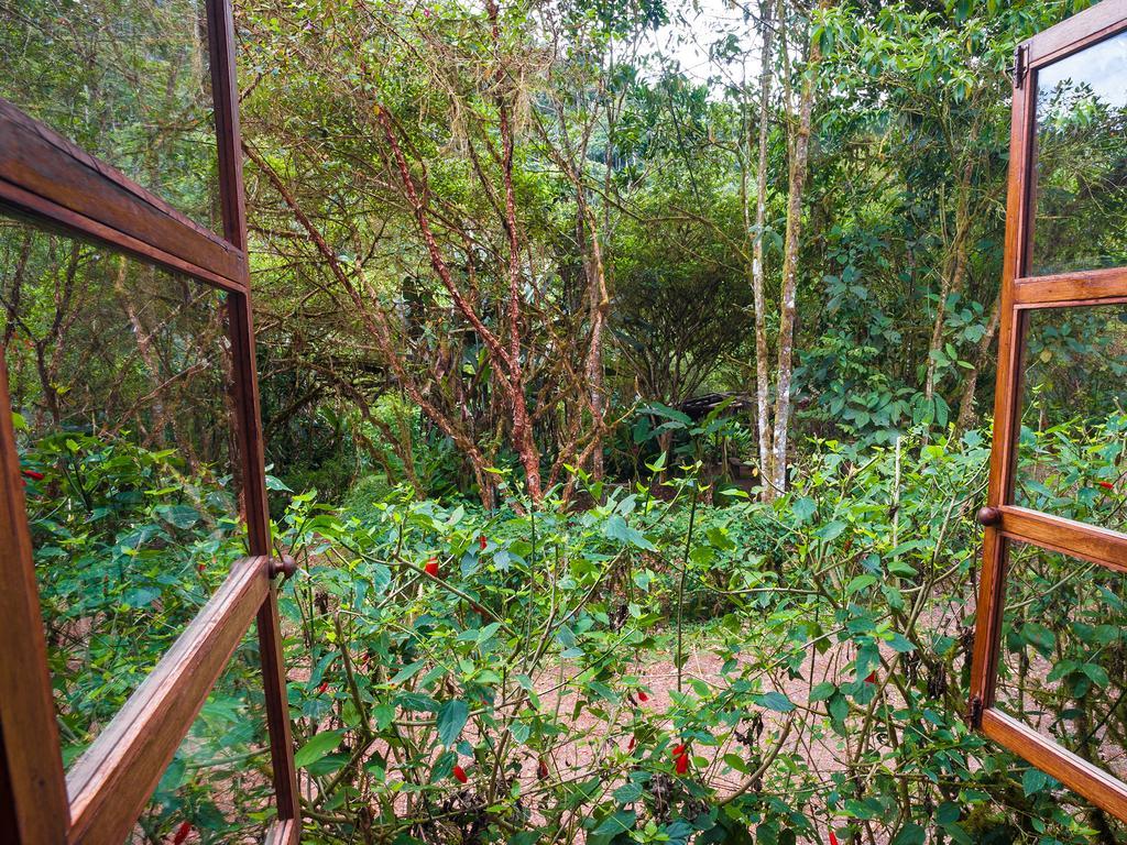 El Septimo Paraiso Mindo Esterno foto
